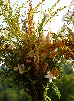 2018 08 15 Matki Boskiej Zielnej 300