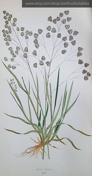 2018 08 15 Matki Boskiej Zielnej Briza Media 132